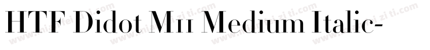 HTF Didot M11 Medium Italic字体转换